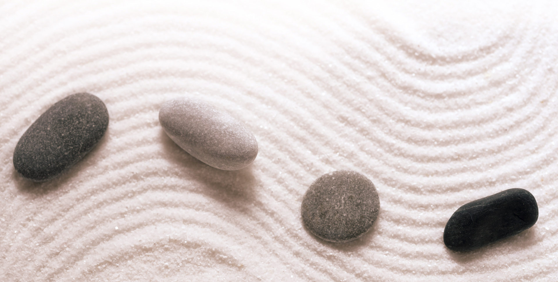 In Whole Health Contact image