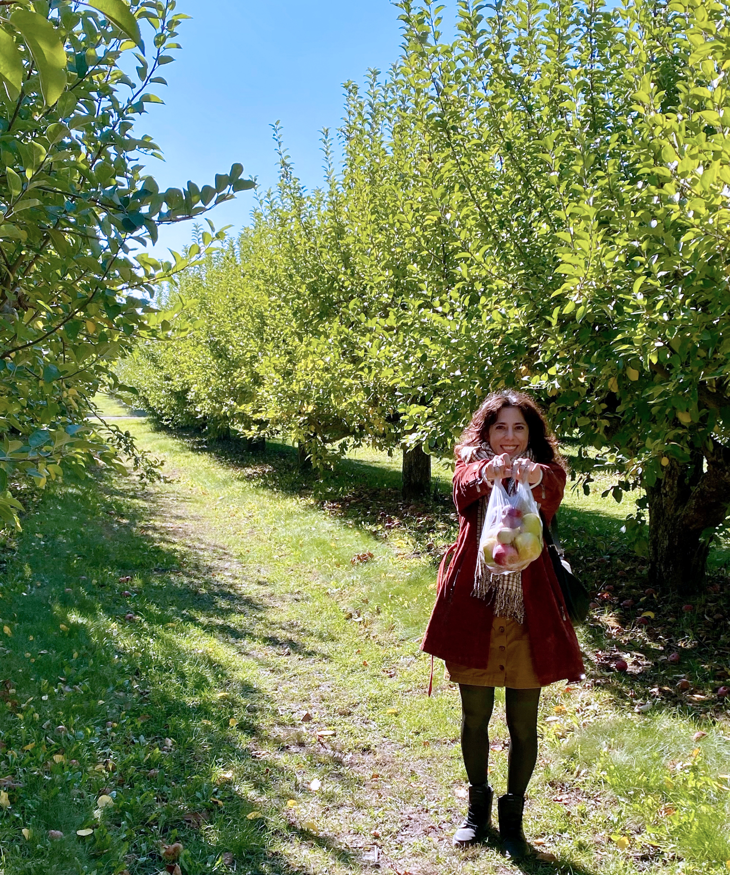 About Dr. Bryancis tree