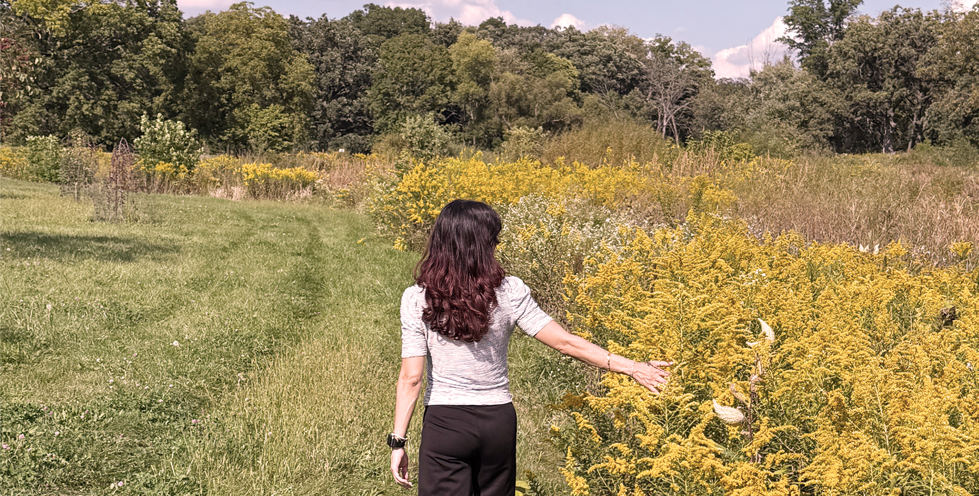 about-dr-bryancis image